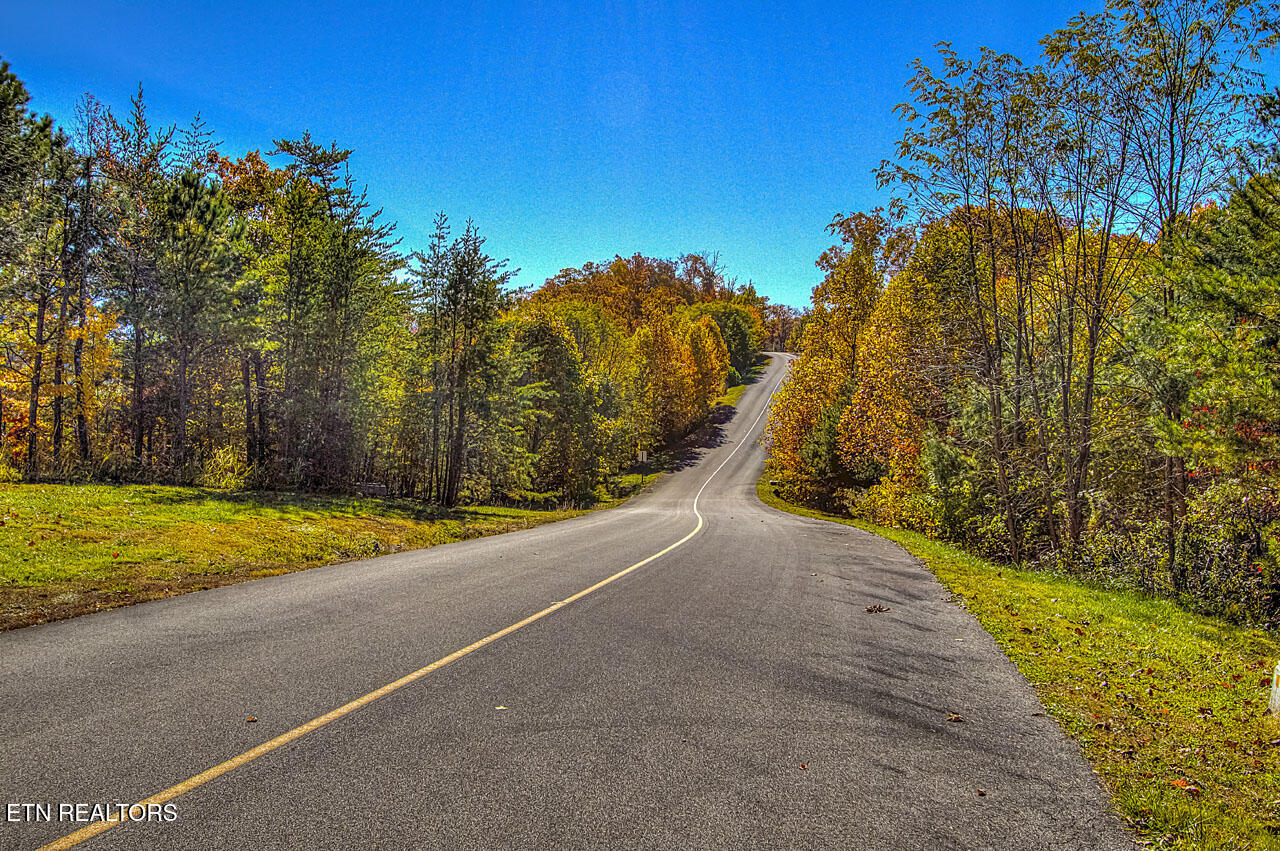 2050 East Millers Cove Road Walland, TN 37886 - Photo 25 of 39 Frontage on Long Rifle Rd