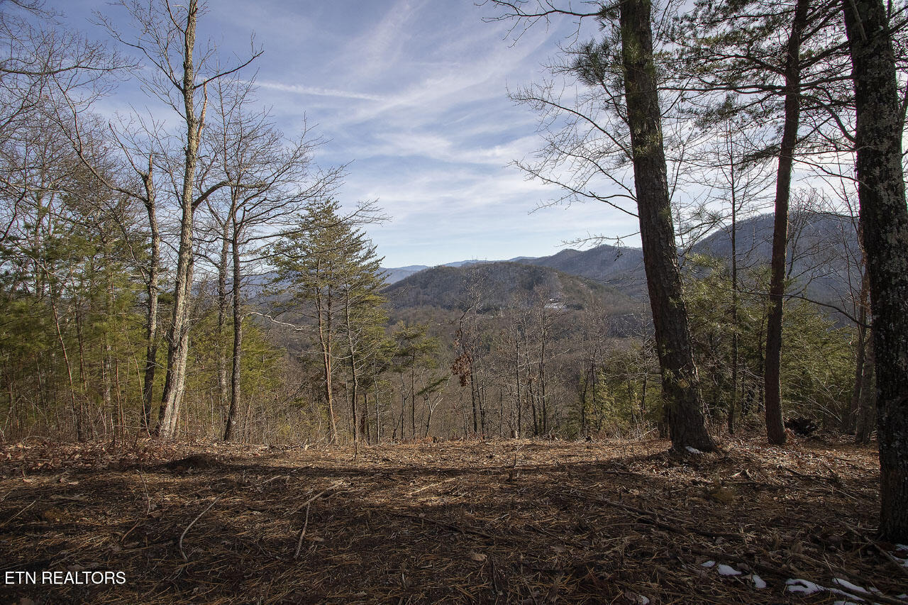 2050 East Millers Cove Road Walland, TN 37886 - Photo 27 of 39 Homesite on Northeast side