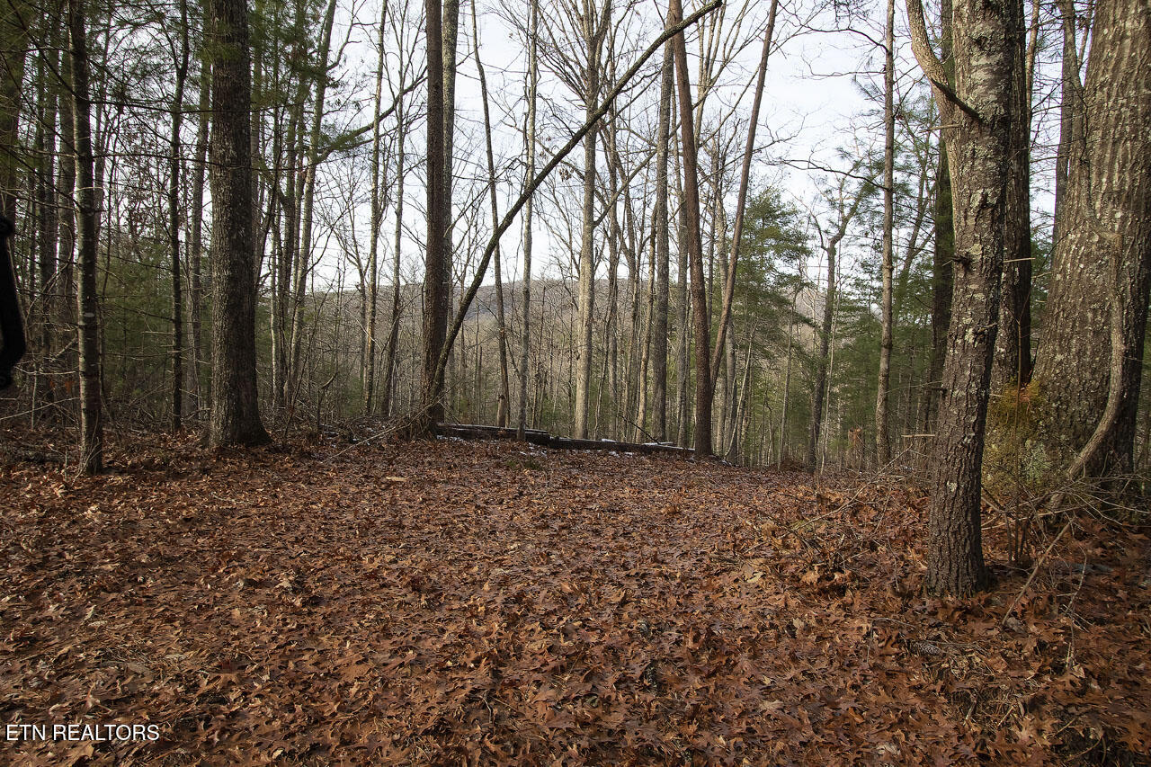 2050 East Millers Cove Road Walland, TN 37886 - Photo 29 of 39 Homesites with Views of Blackberry