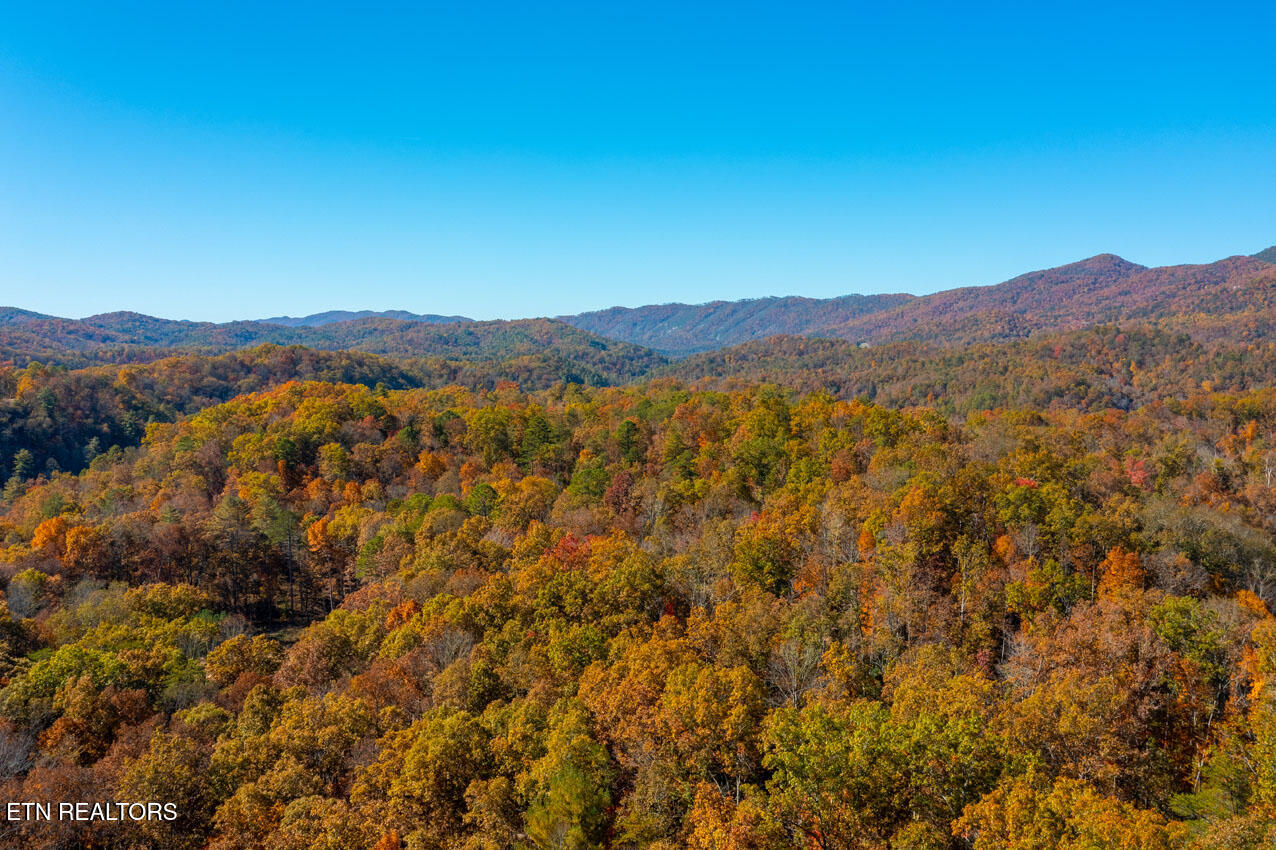 2050 East Millers Cove Road Walland, TN 37886 - Photo 30 of 39 Beautiful Views from the ridge