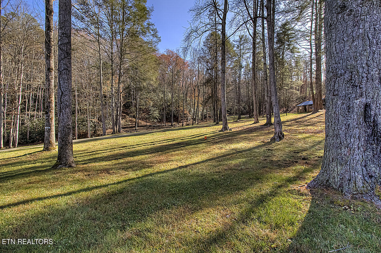 2050 East Millers Cove Road Walland, TN 37886 - Photo 32 of 39 Lots of gently rolling terrian