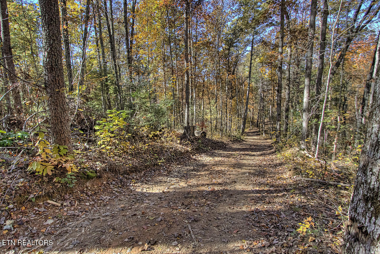 2050 East Millers Cove Road Walland, TN 37886 - Photo 33 of 39 Miles of wide trails