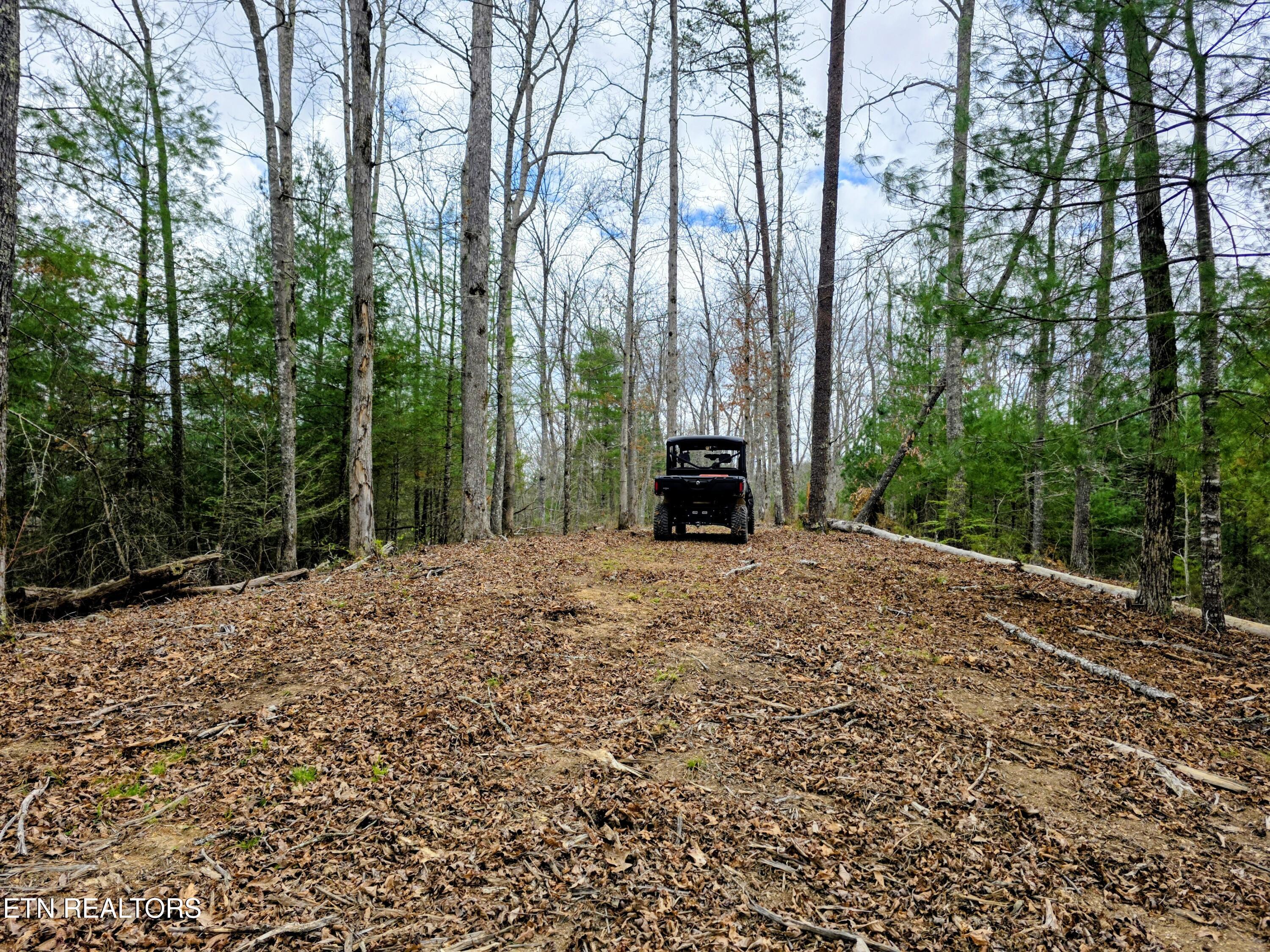 2050 East Millers Cove Road Walland, TN 37886 - Photo 38 of 39 Wide plateau above the lodge