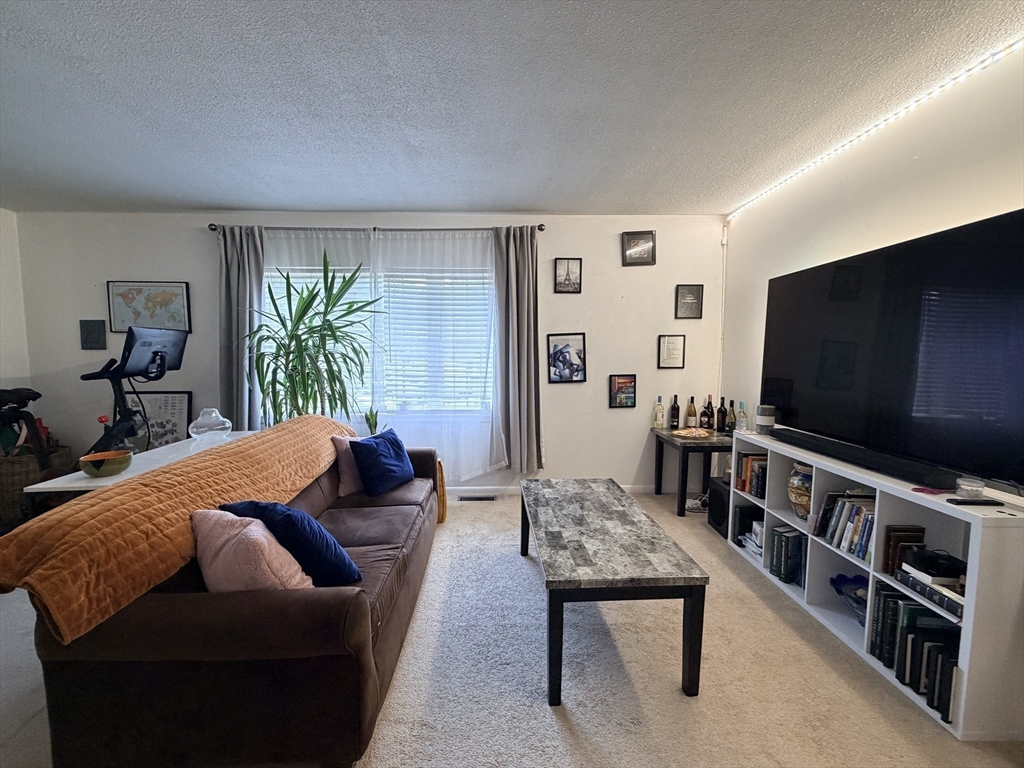 185 Lake Shore Road, Unit 1 Boston, MA 02135 - Photo 4 of 21