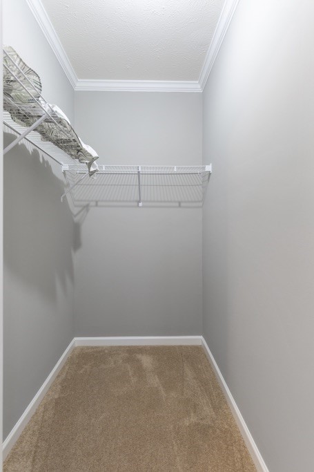 220 Snow Creek Road Seneca, SC 29678 - Photo 40 of 50 Gallery Image 40