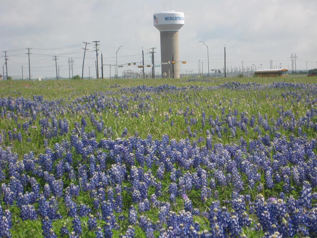 109 County Road Venus, TX 76084 - Photo 5 of 7 a view of a garden with a building in the background