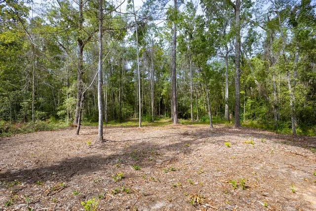 $335,000 | 354 Pine Cone Drive, Monticello, FL 32344