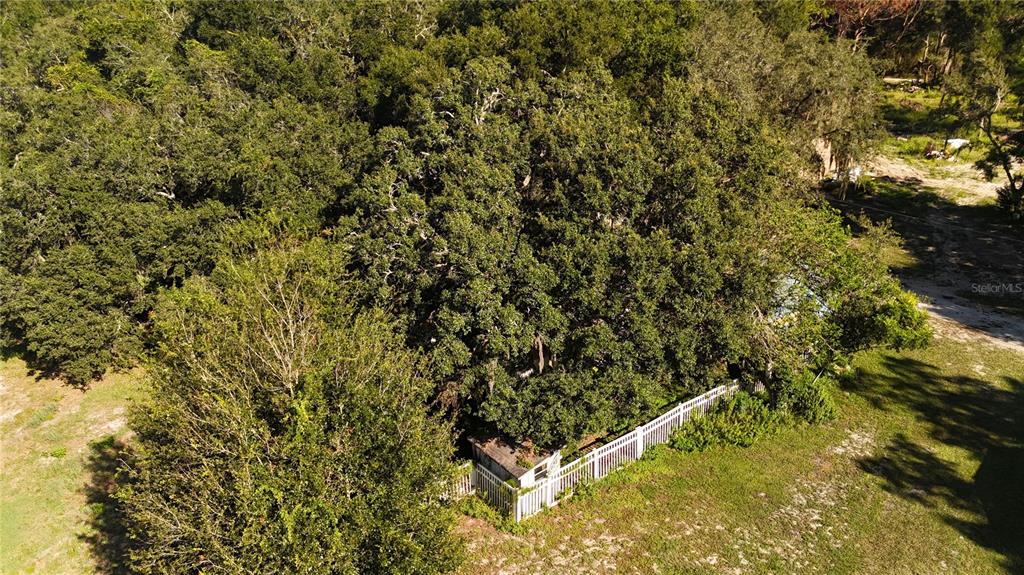 12510 Robinhood Road Hudson, FL 34669 - Photo 17 of 30 a view of a yard