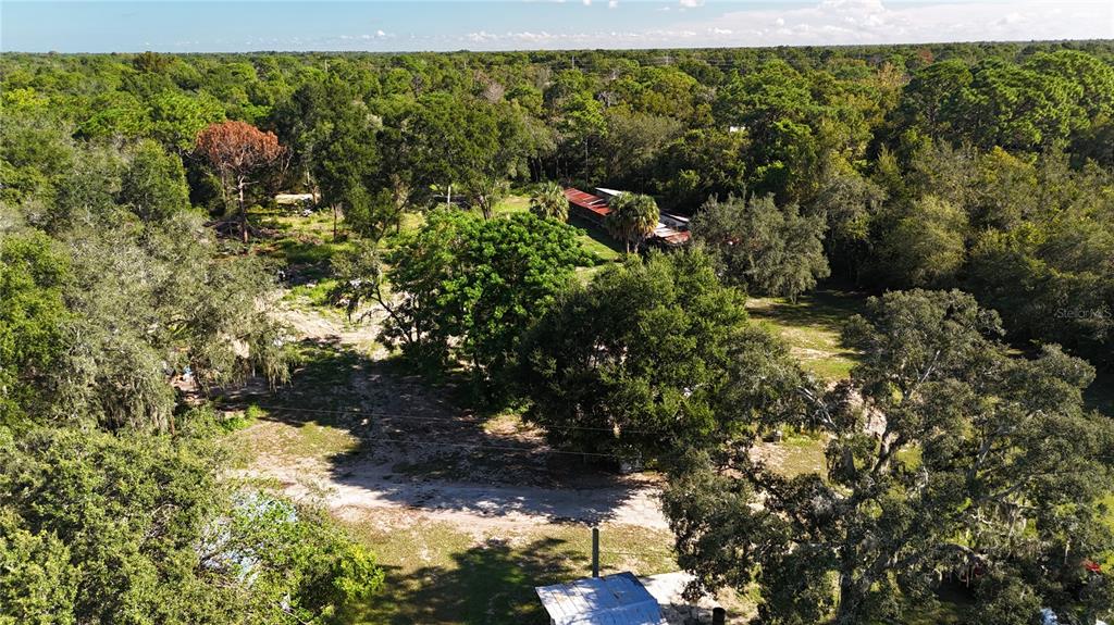 12510 Robinhood Road Hudson, FL 34669 - Photo 18 of 30 a view of a yard with a tree