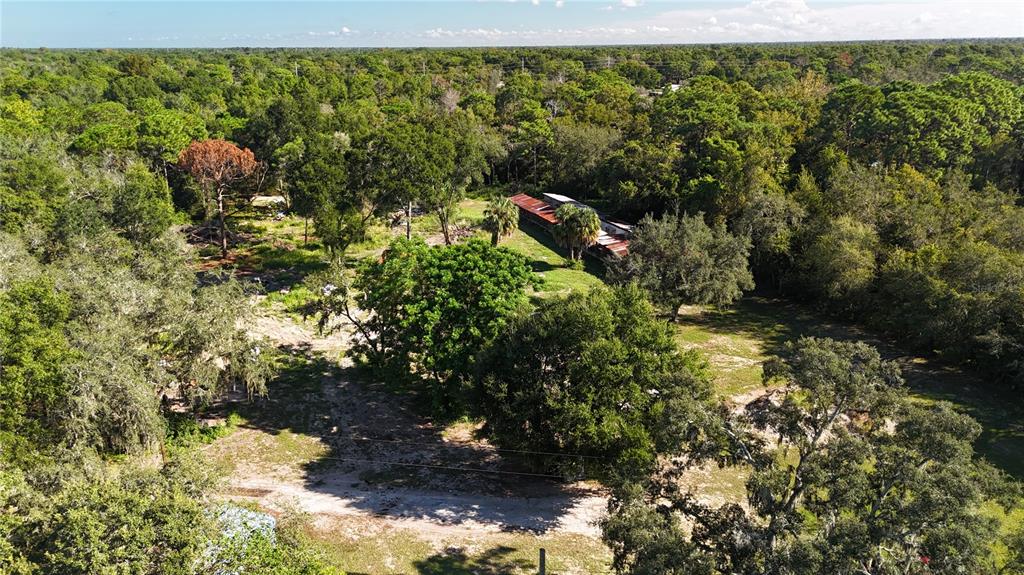 12510 Robinhood Road Hudson, FL 34669 - Photo 19 of 30 a view of a garden with plants