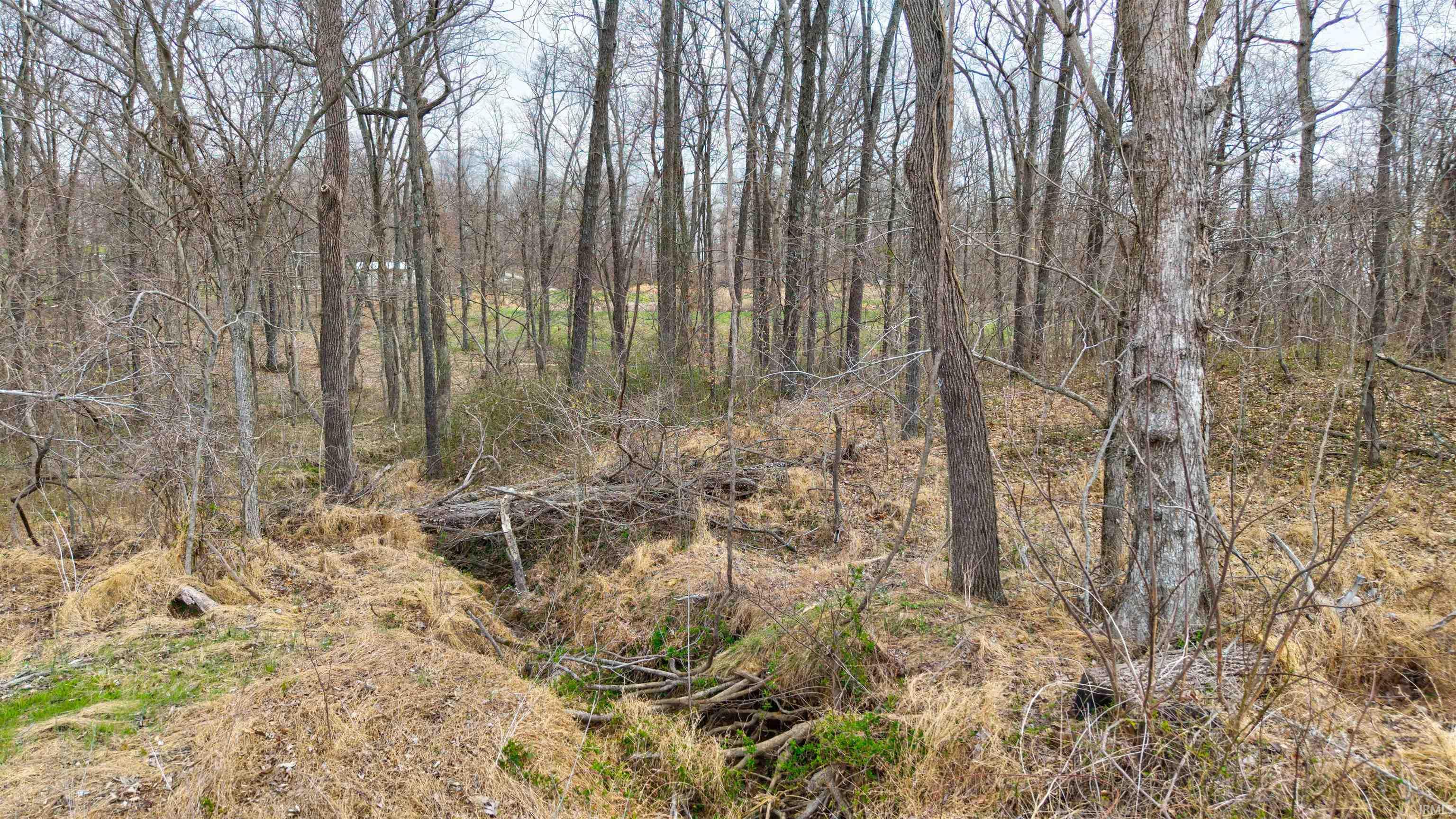 0 Brooks Road Dale, IN 47523 - Photo 13 of 23