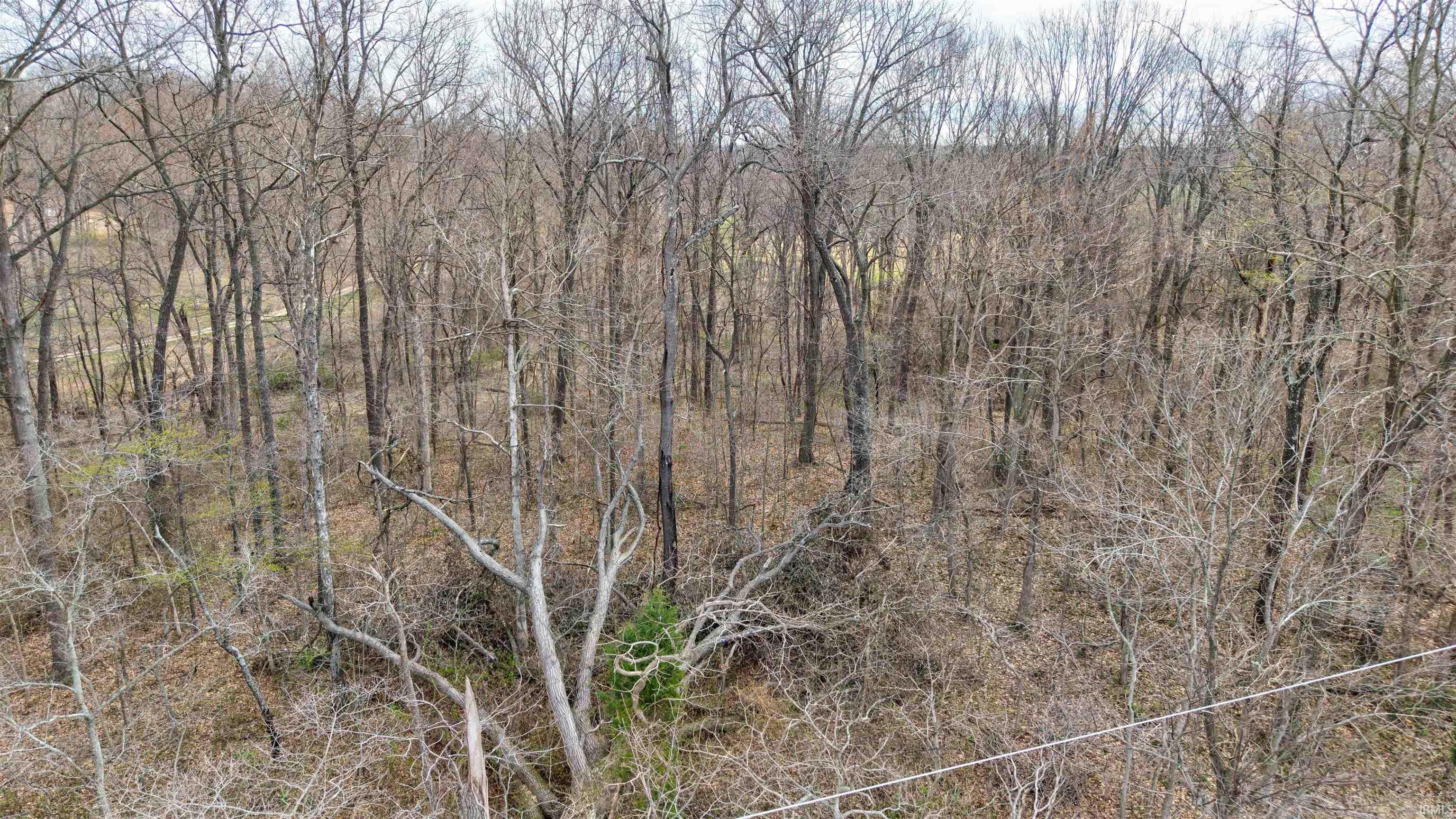 0 Brooks Road Dale, IN 47523 - Photo 14 of 23