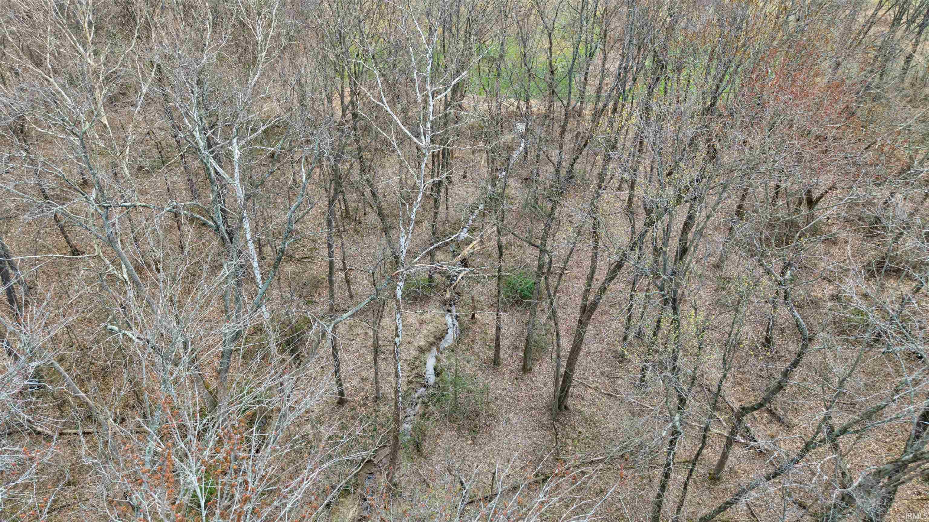 0 Brooks Road Dale, IN 47523 - Photo 15 of 23