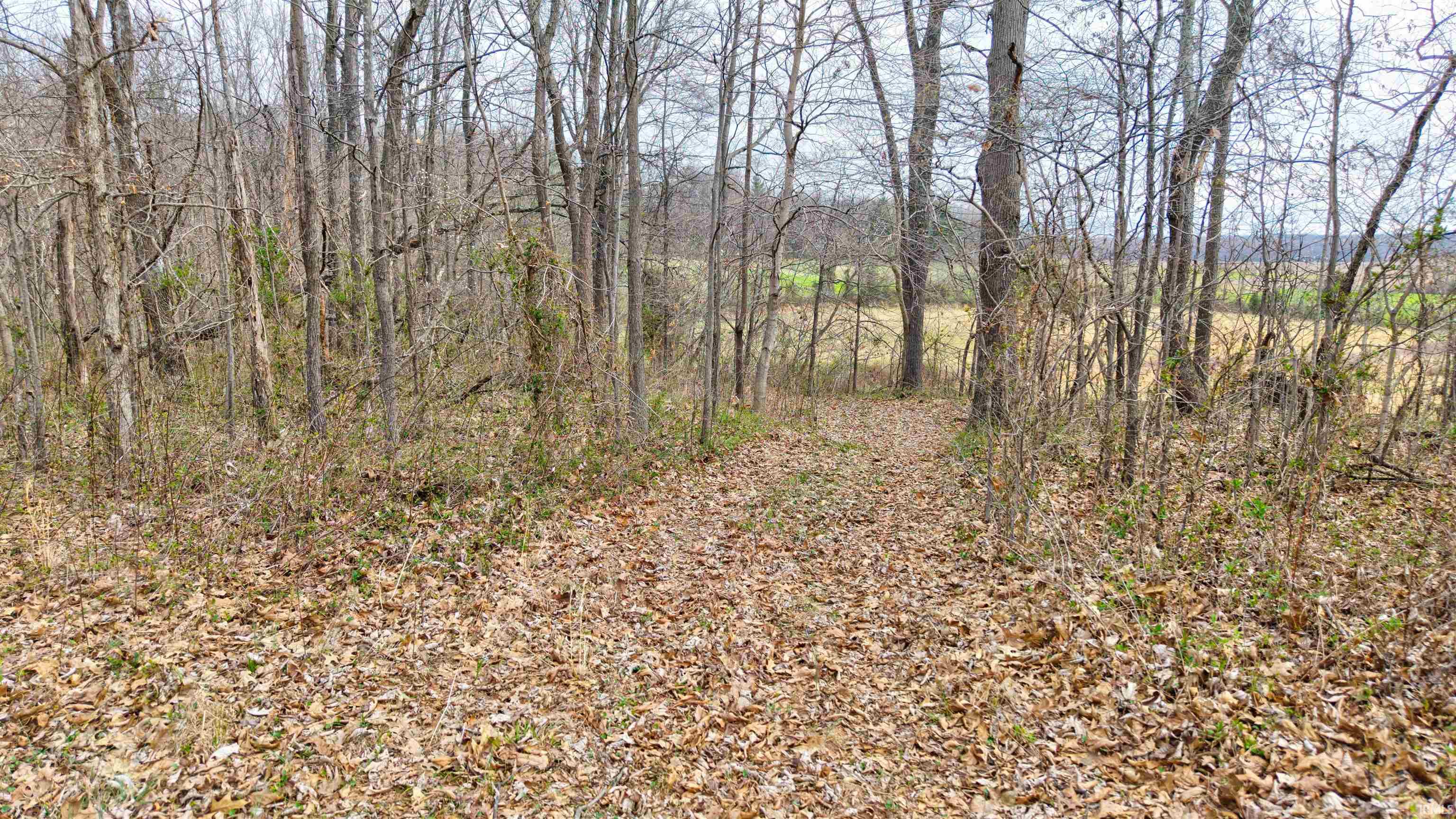 0 Brooks Road Dale, IN 47523 - Photo 16 of 23
