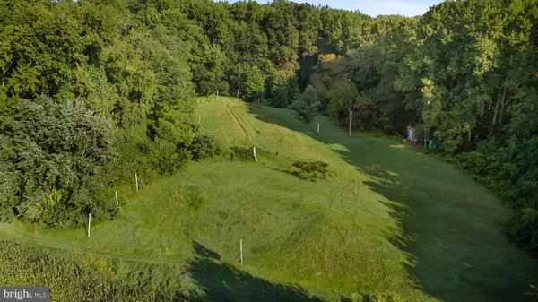 a view of a green yard with large trees