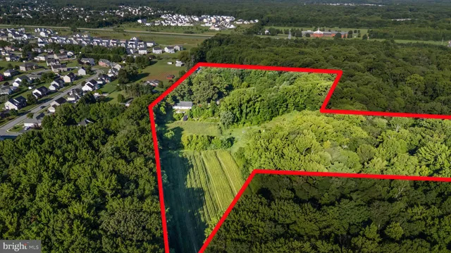 a view of a yard with a tree