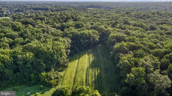 an aerial view of residential houses with outdoor space and trees