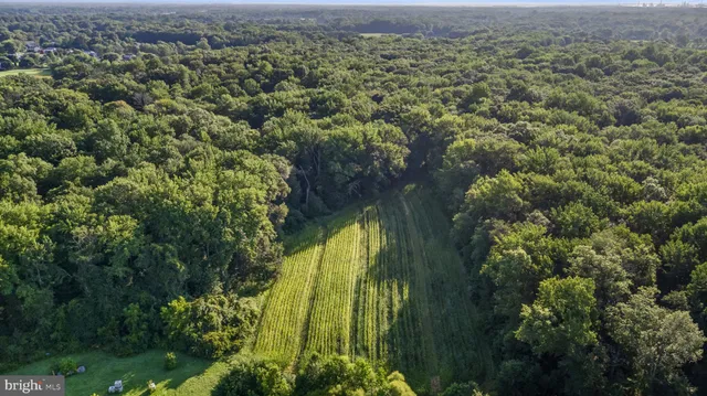 an aerial view of residential houses with outdoor space and trees