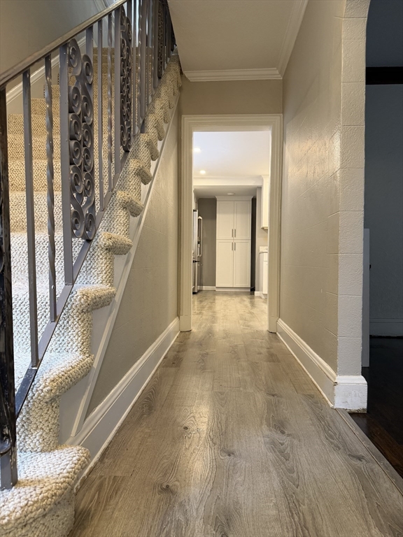 291 Russett Road Brookline, MA 02467 - Photo 3 of 38 Gallery Image 3