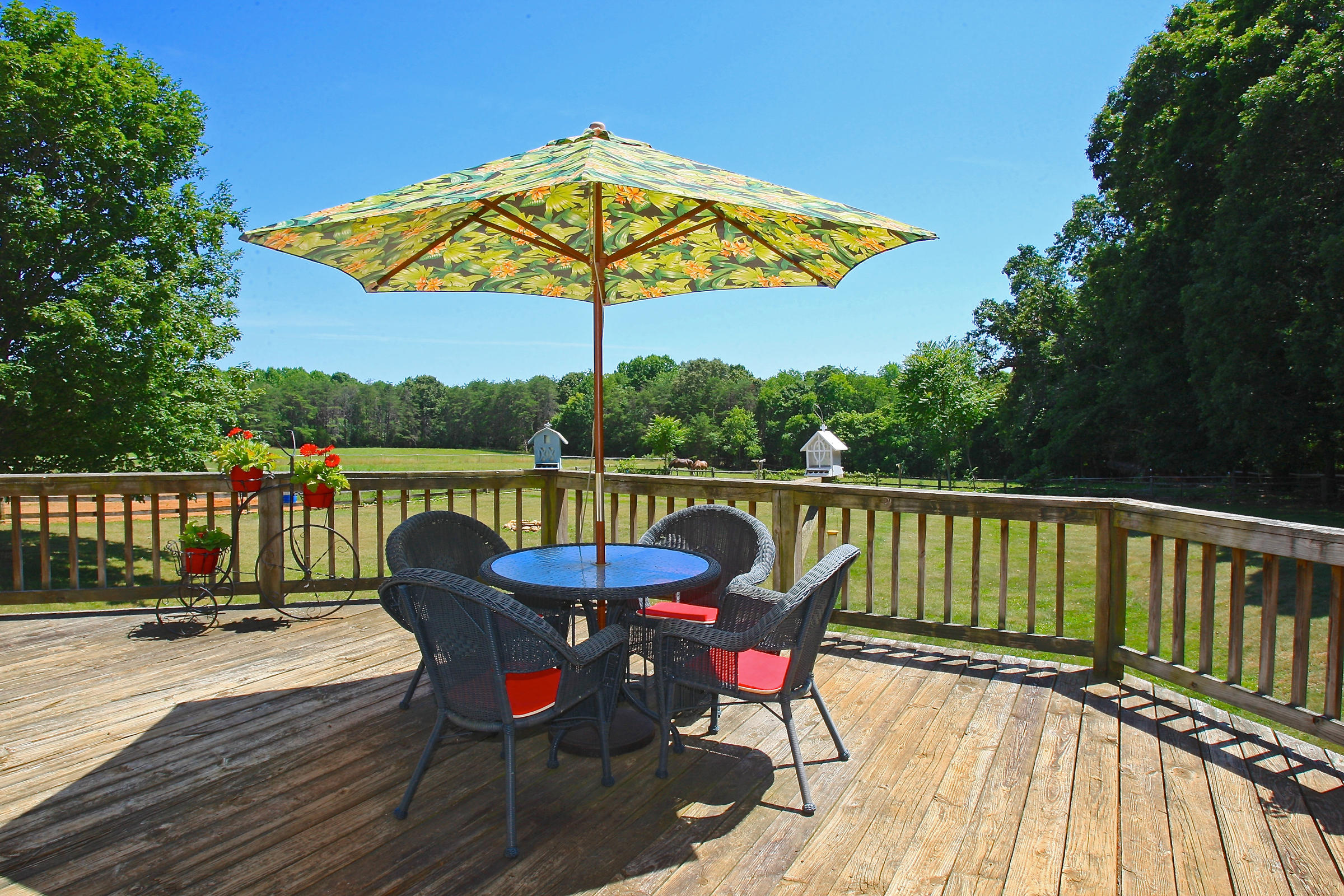 2260 Triggs Road Bedford, VA 24523 - Photo 18 of 62 BACK_PORCH_4V4B6885