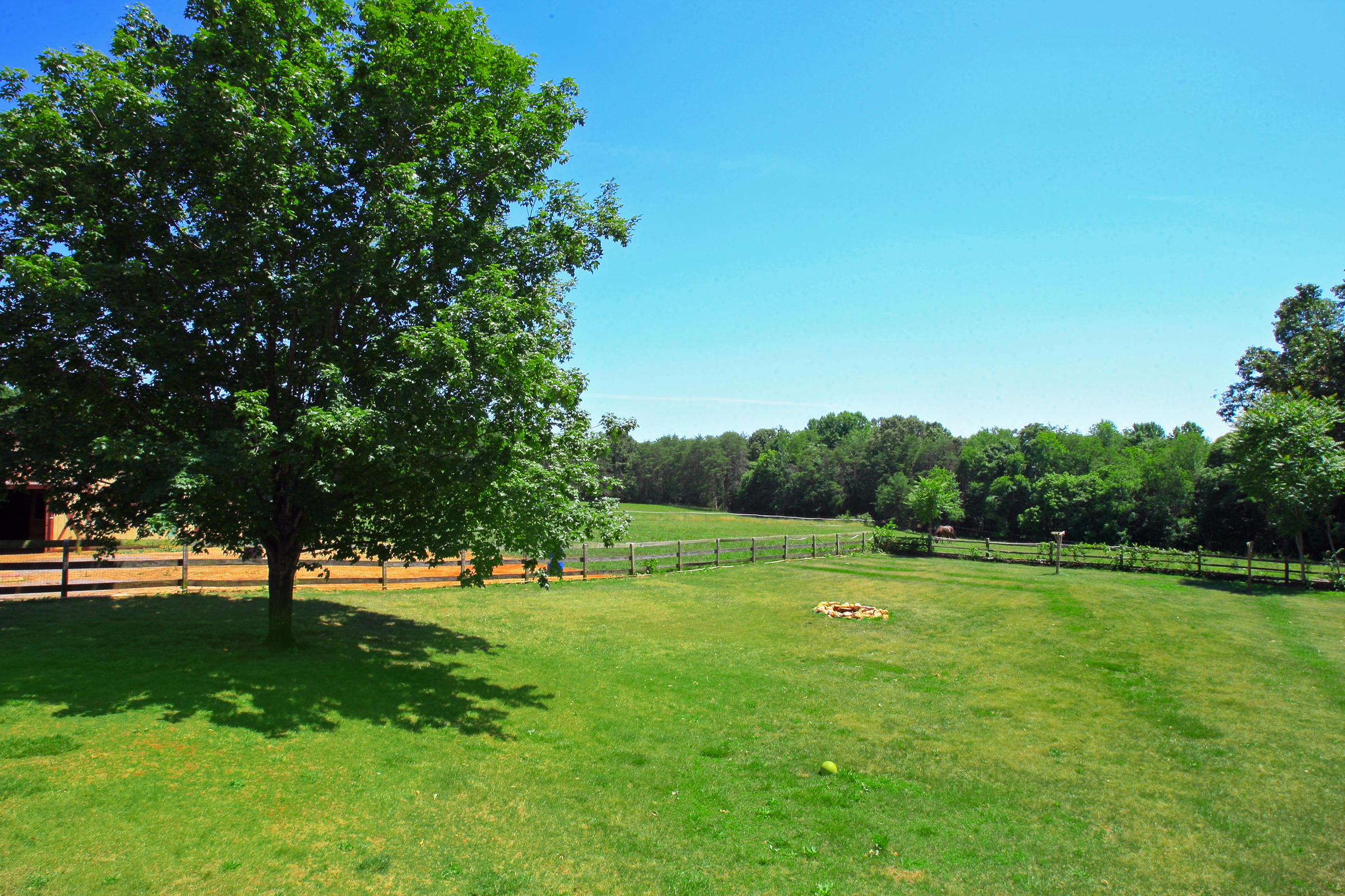 2260 Triggs Road Bedford, VA 24523 - Photo 37 of 62 BACKYARD_4V4B6882