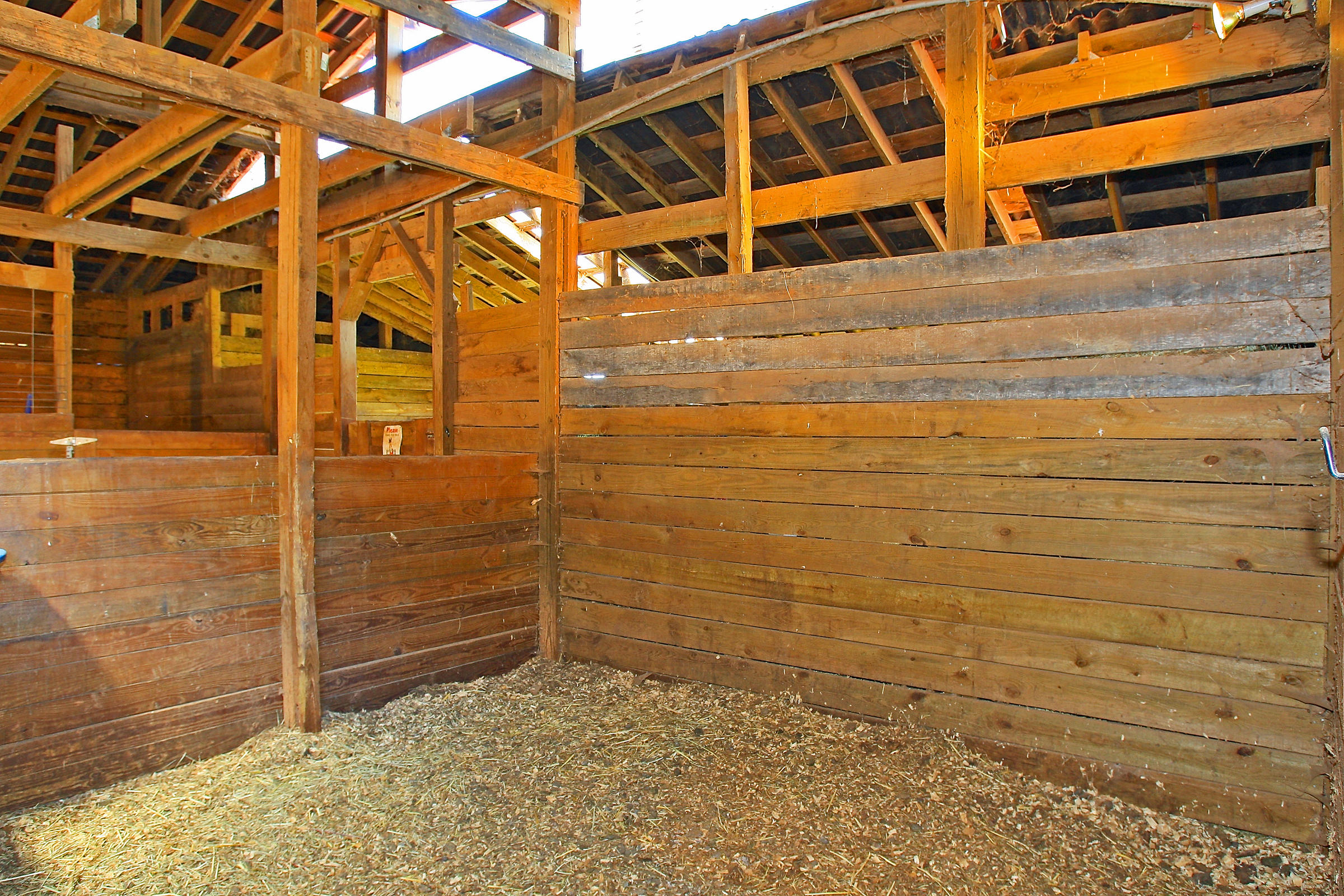 2260 Triggs Road Bedford, VA 24523 - Photo 50 of 62 STABLES_4V4B6940