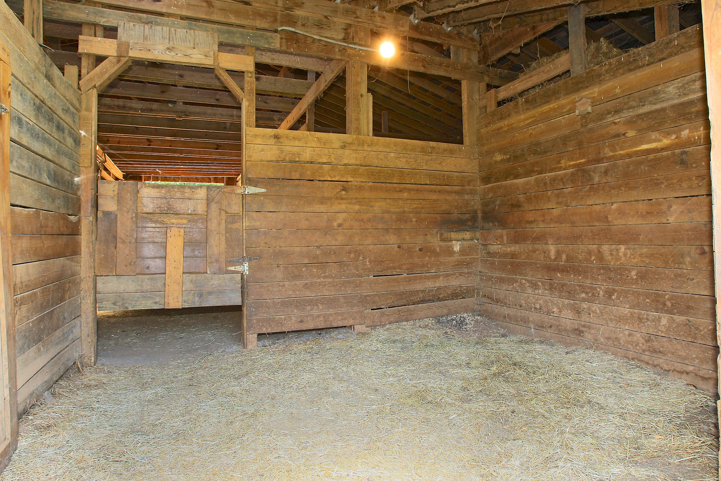2260 Triggs Road Bedford, VA 24523 - Photo 51 of 62 STABLES_4V4B6985