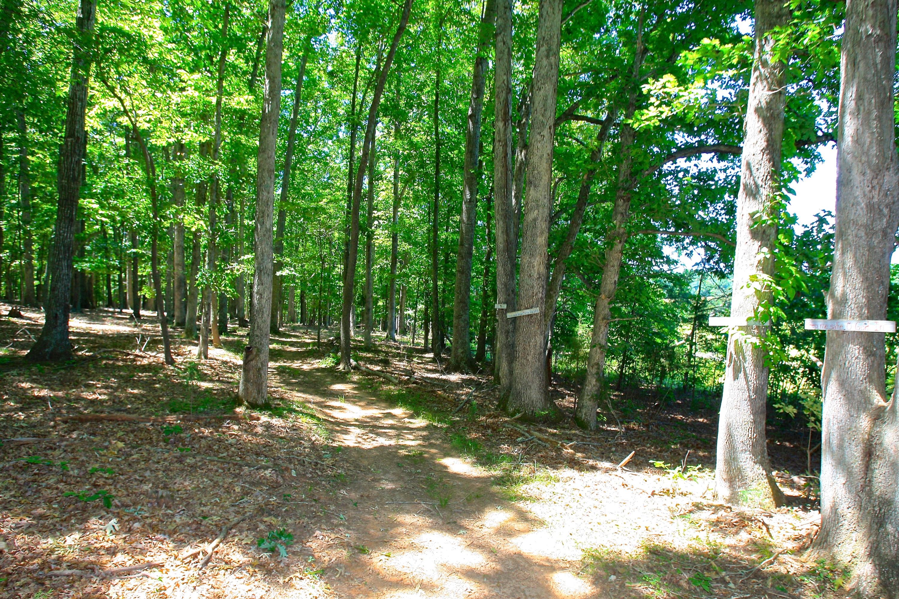 2260 Triggs Road Bedford, VA 24523 - Photo 55 of 62 HORSE_TRAIL_4V4B6627