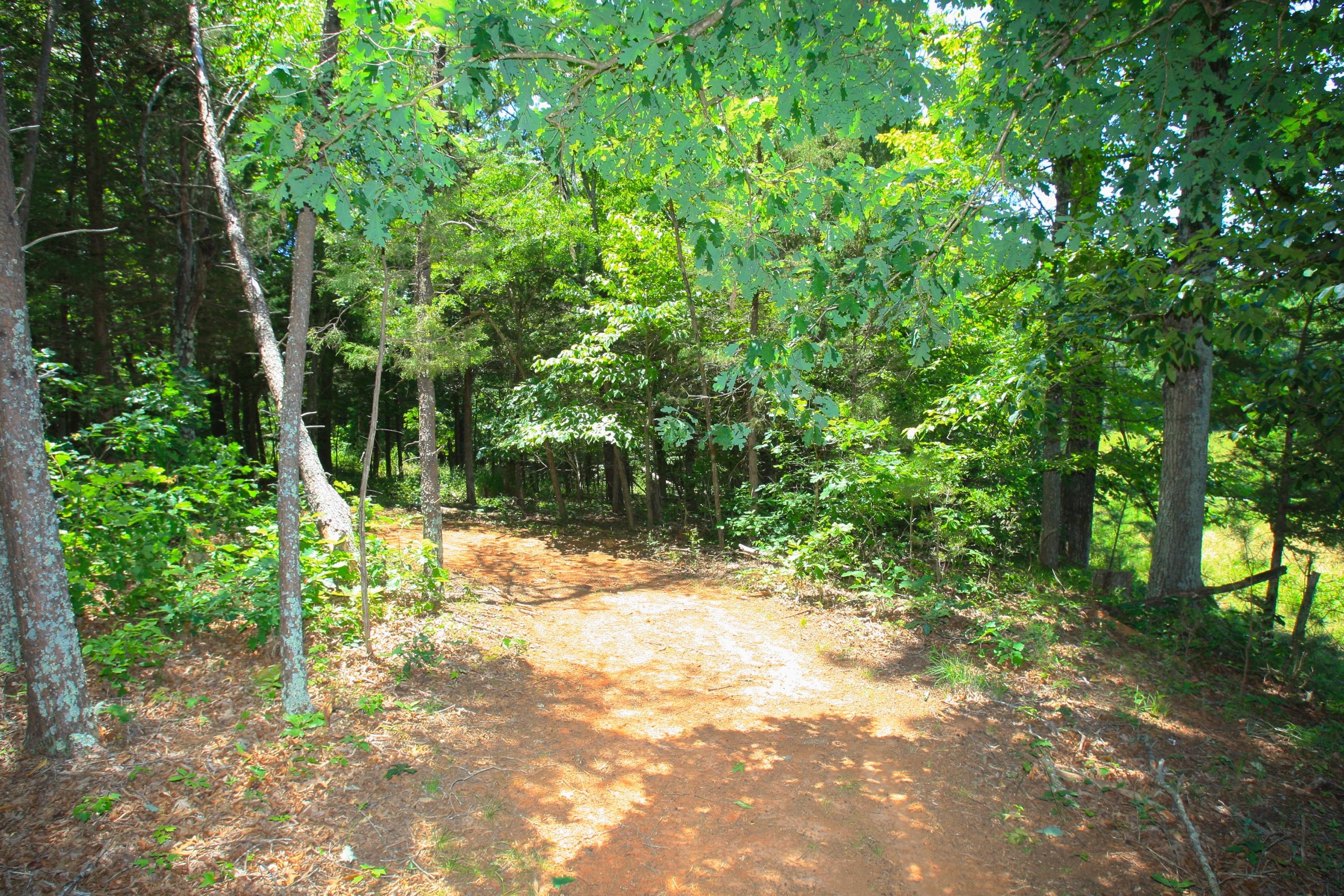 2260 Triggs Road Bedford, VA 24523 - Photo 56 of 62 HORSE_TRAIL_4V4B6645