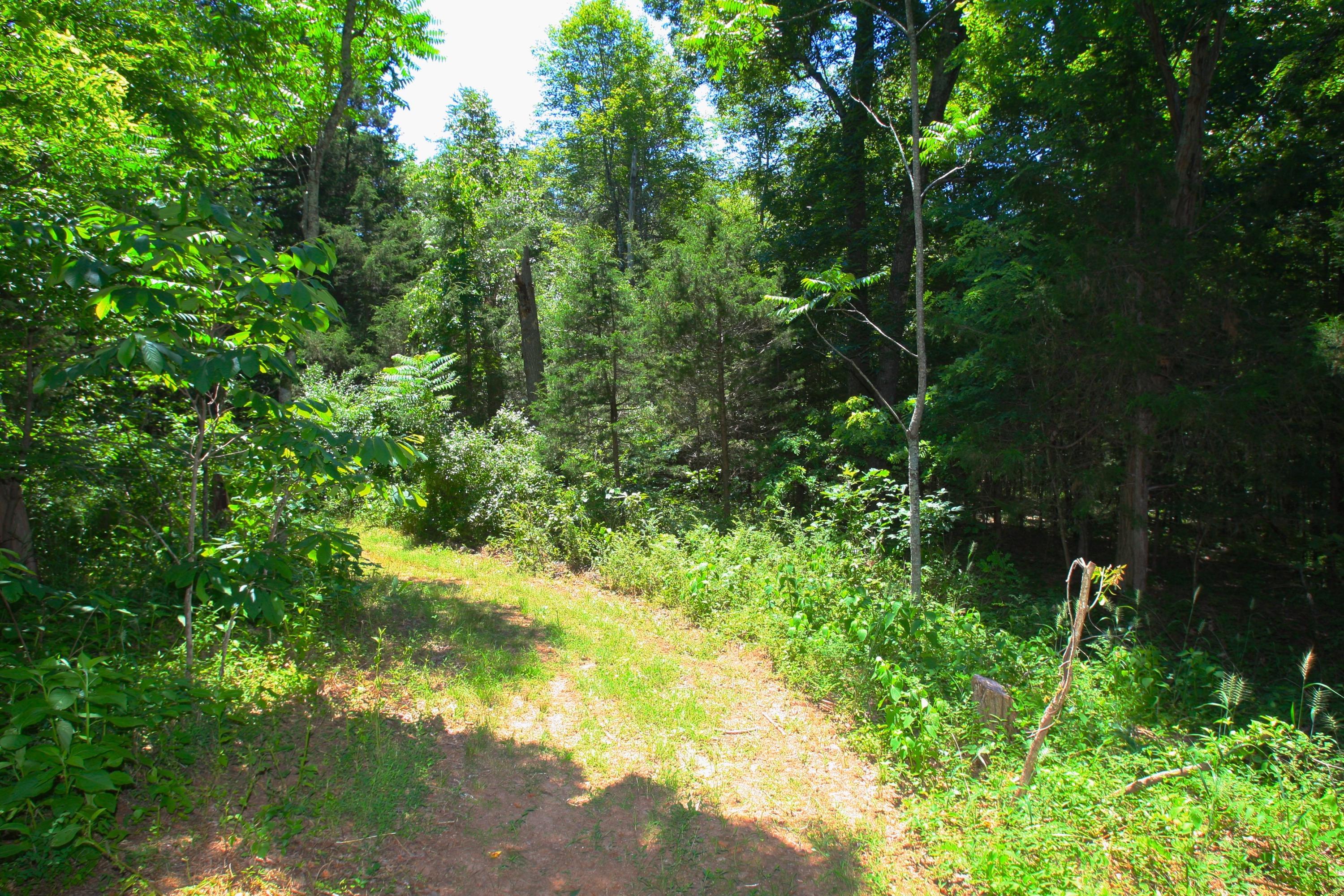2260 Triggs Road Bedford, VA 24523 - Photo 57 of 62 HORSE_TRAIL_4V4B6647