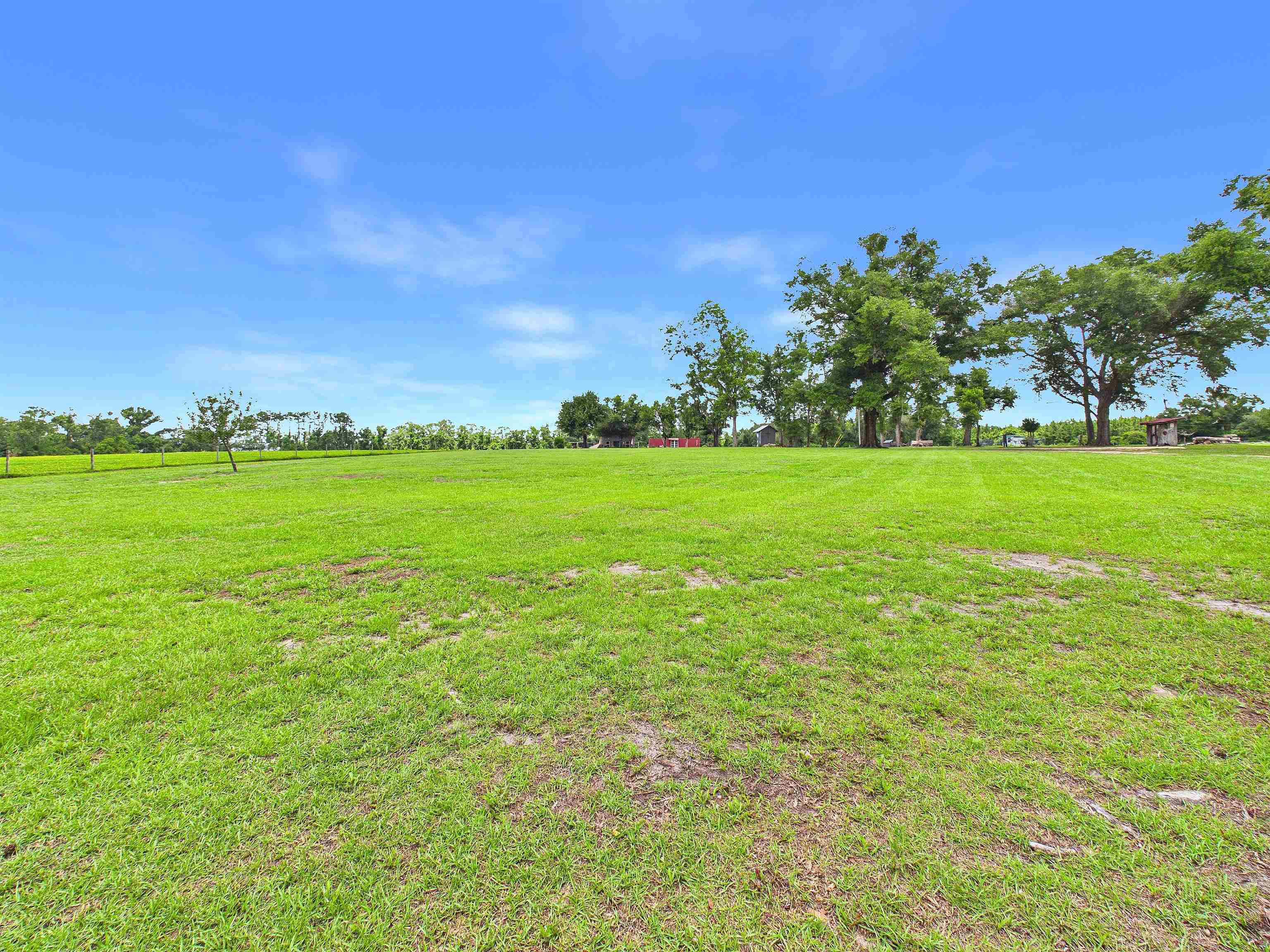 4764 Southwest Fellowship Road Greenville, FL 32331 - Photo 46 of 70