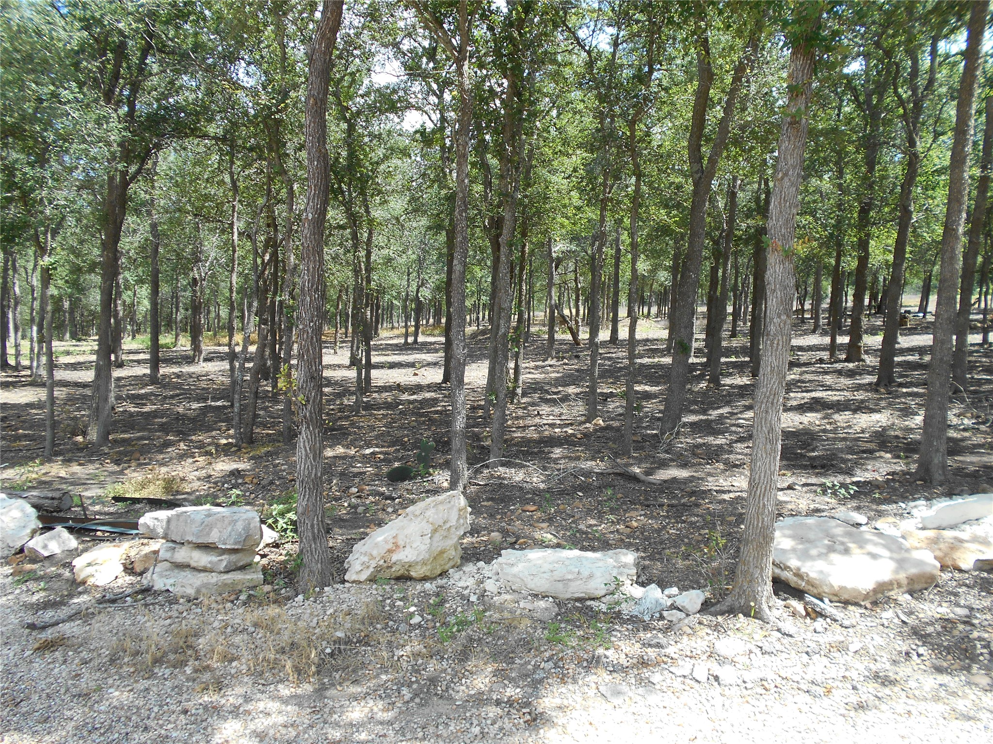 8001 Burleson Manor Road Manor, TX 78653 - Photo 23 of 31 Mature trees offer natural shade and a private, wooded setting.