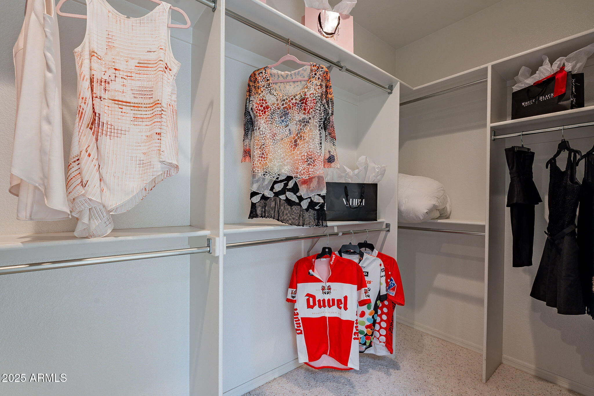 18637 Amarado Circle Rio Verde, AZ 85263 - Photo 19 of 51 a view of walk in closet with clothes and shoes