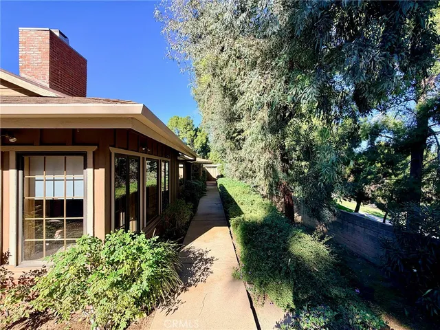 a view of a yard with plants and trees