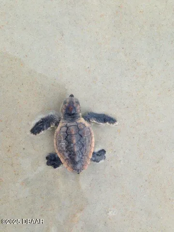a bedroom with two beds and a large window