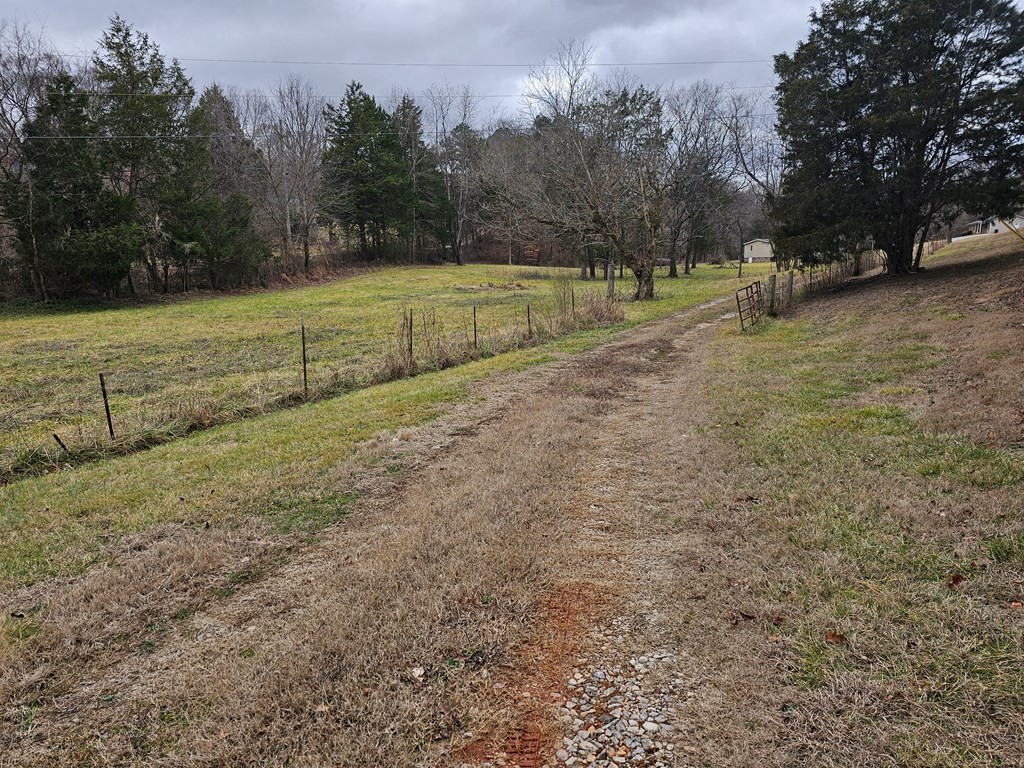 1007 Spring Creek Road Dandridge, TN 37725 - Photo 3 of 11