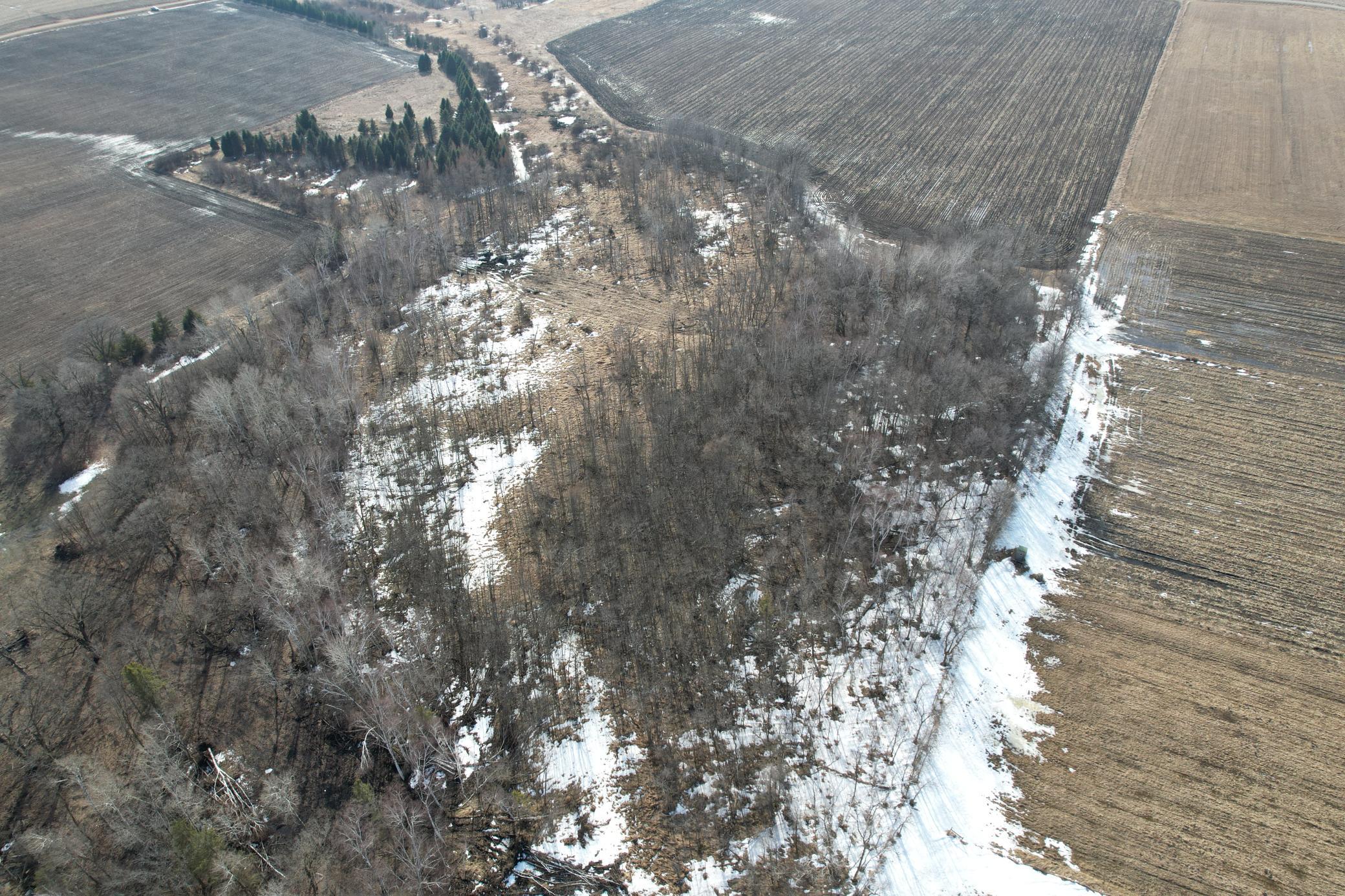 Tbd 270th Street Wadena, MN 56482 - Photo 11 of 81