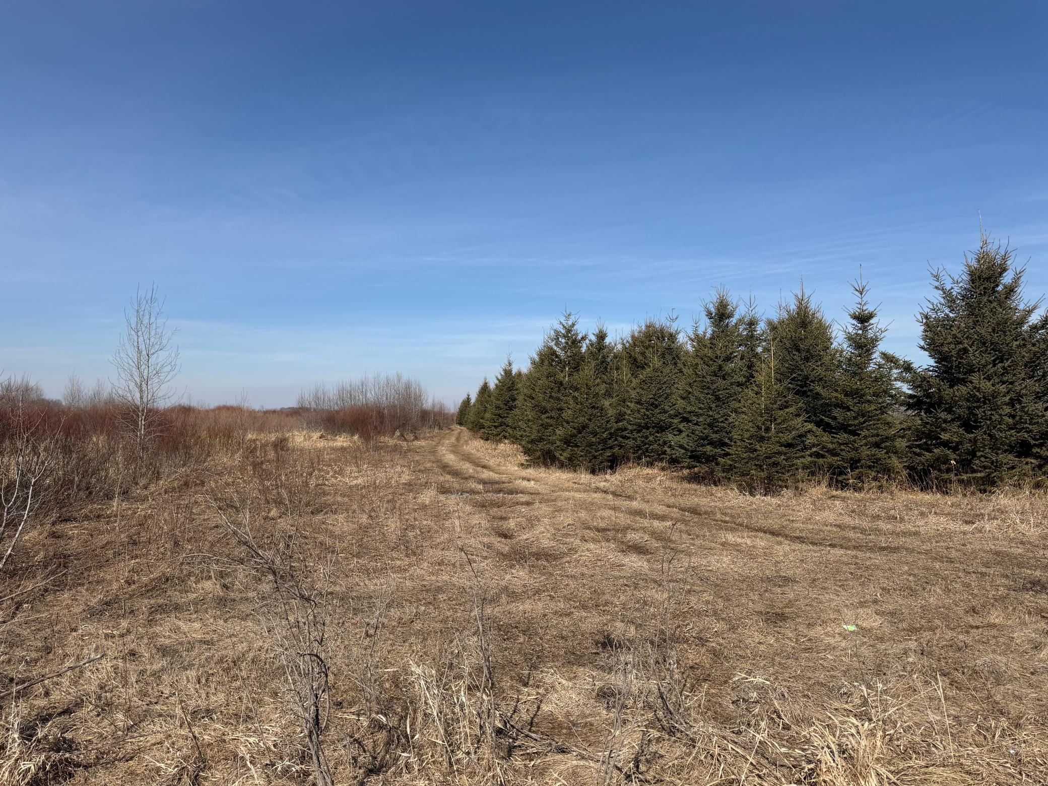 Tbd 270th Street Wadena, MN 56482 - Photo 16 of 81