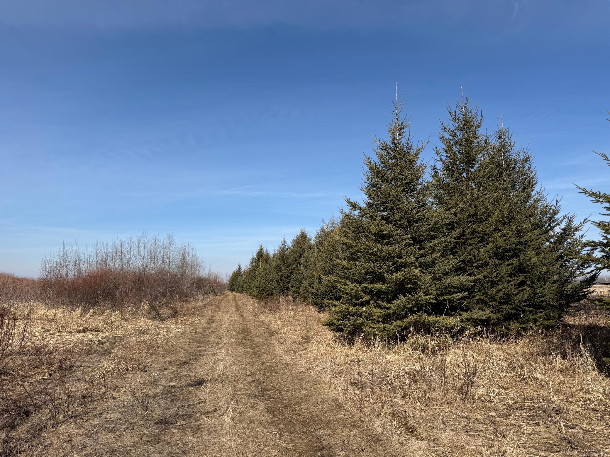 Tbd 270th Street Wadena, MN 56482 - Photo 17 of 81