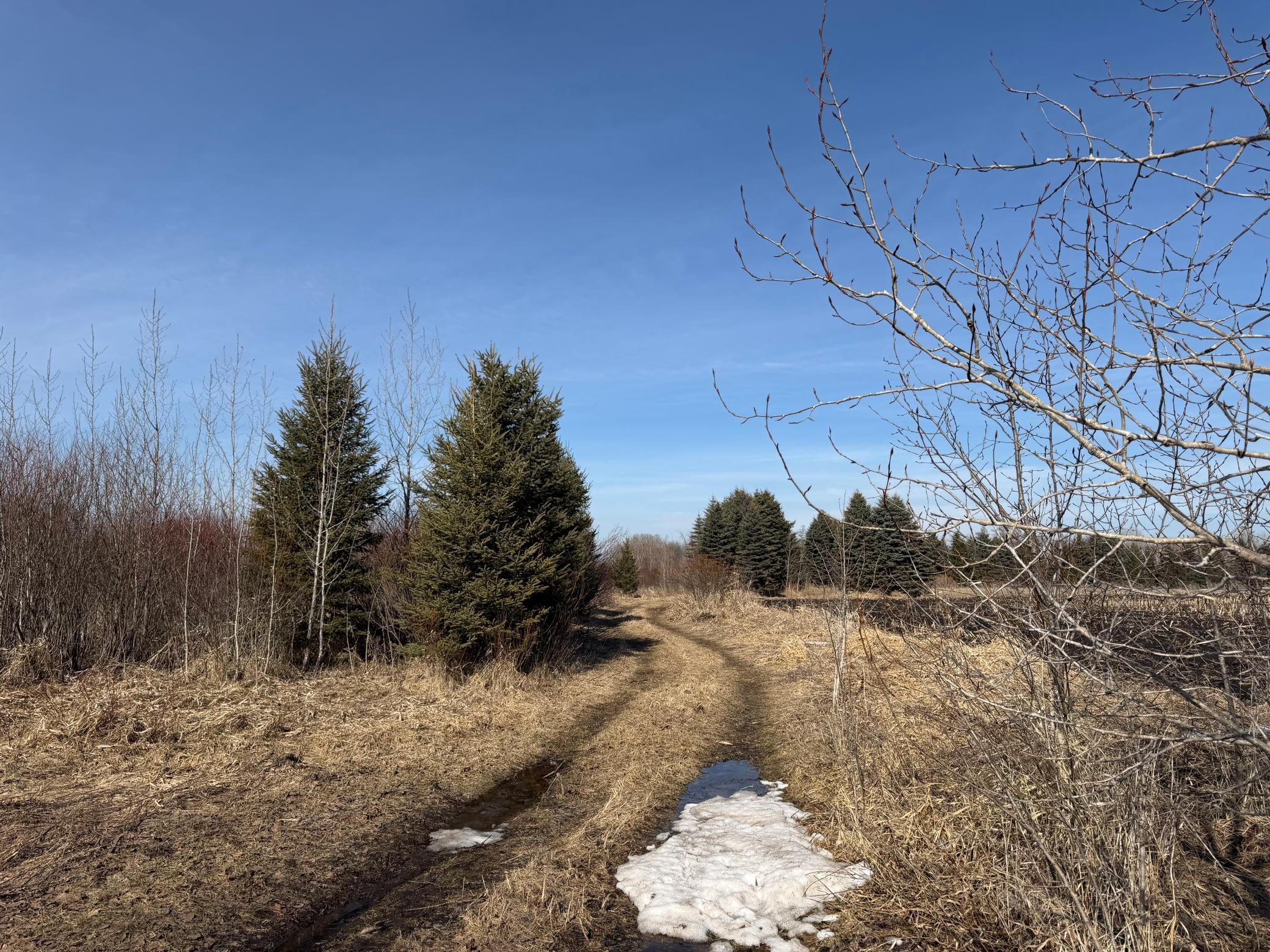 Tbd 270th Street Wadena, MN 56482 - Photo 18 of 81