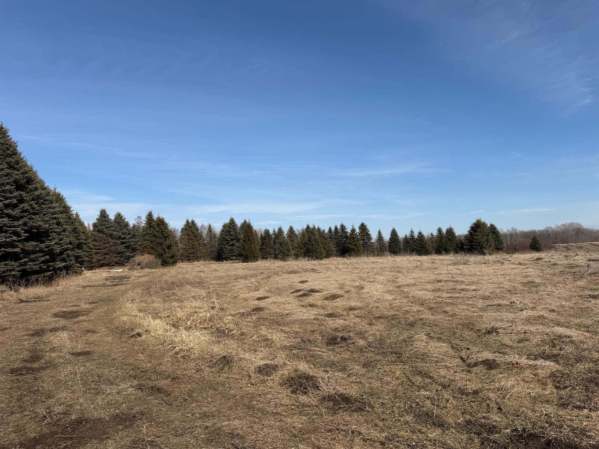 Tbd 270th Street Wadena, MN 56482 - Photo 20 of 81