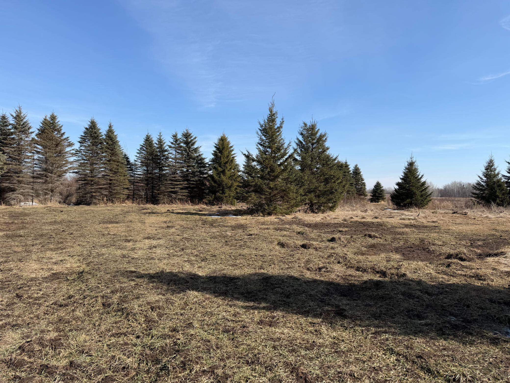 Tbd 270th Street Wadena, MN 56482 - Photo 24 of 81