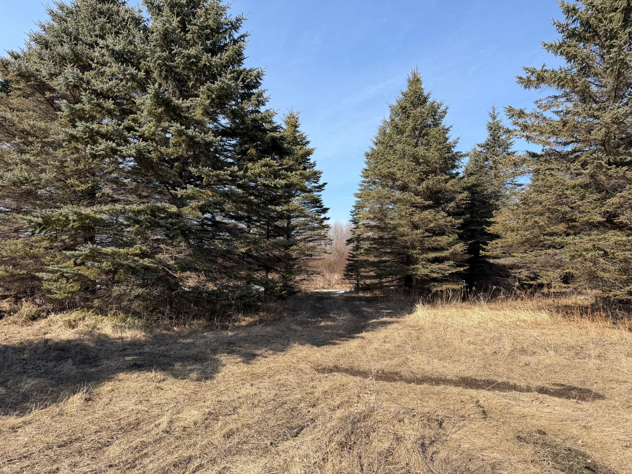 Tbd 270th Street Wadena, MN 56482 - Photo 25 of 81