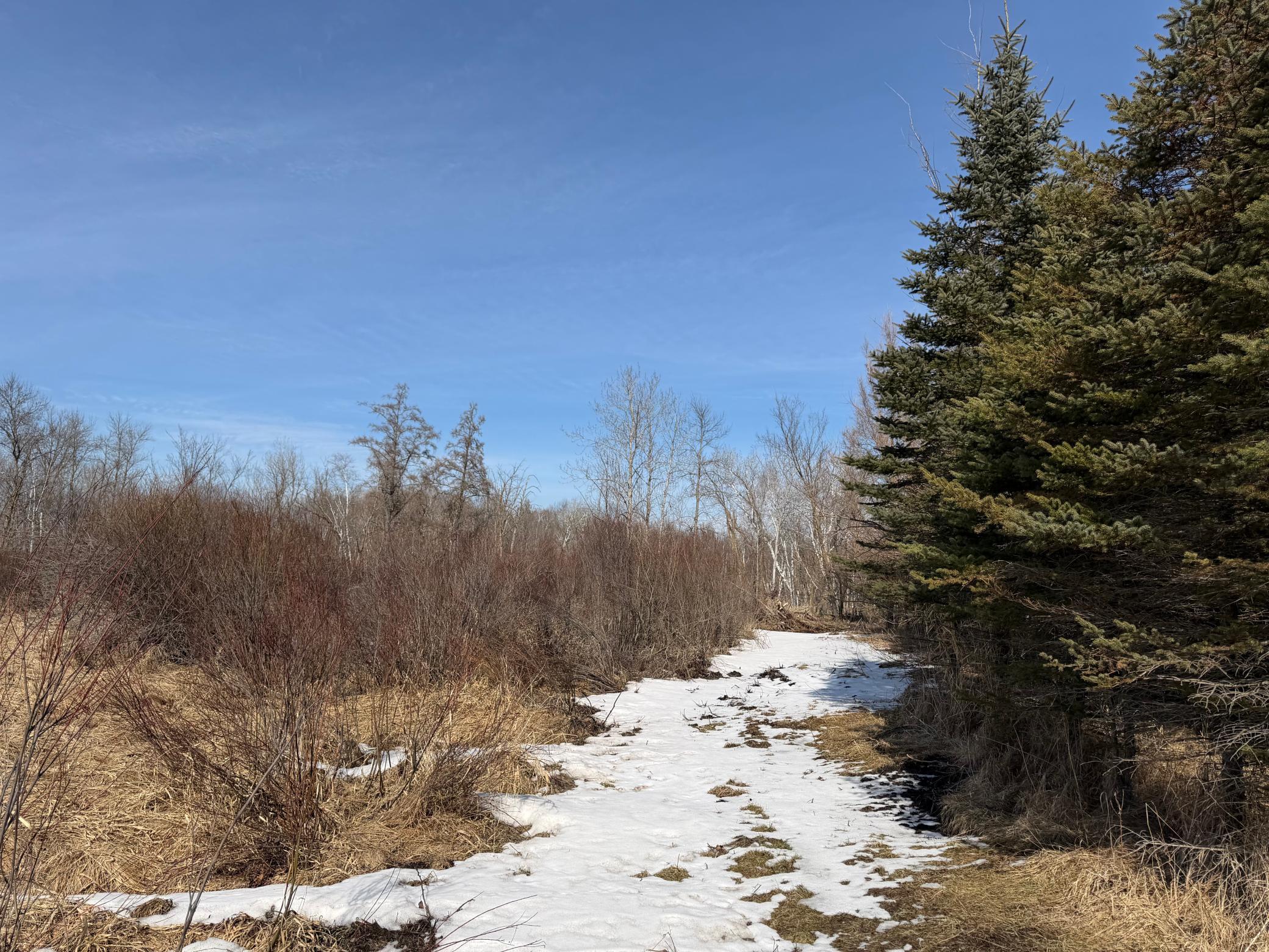 Tbd 270th Street Wadena, MN 56482 - Photo 27 of 81