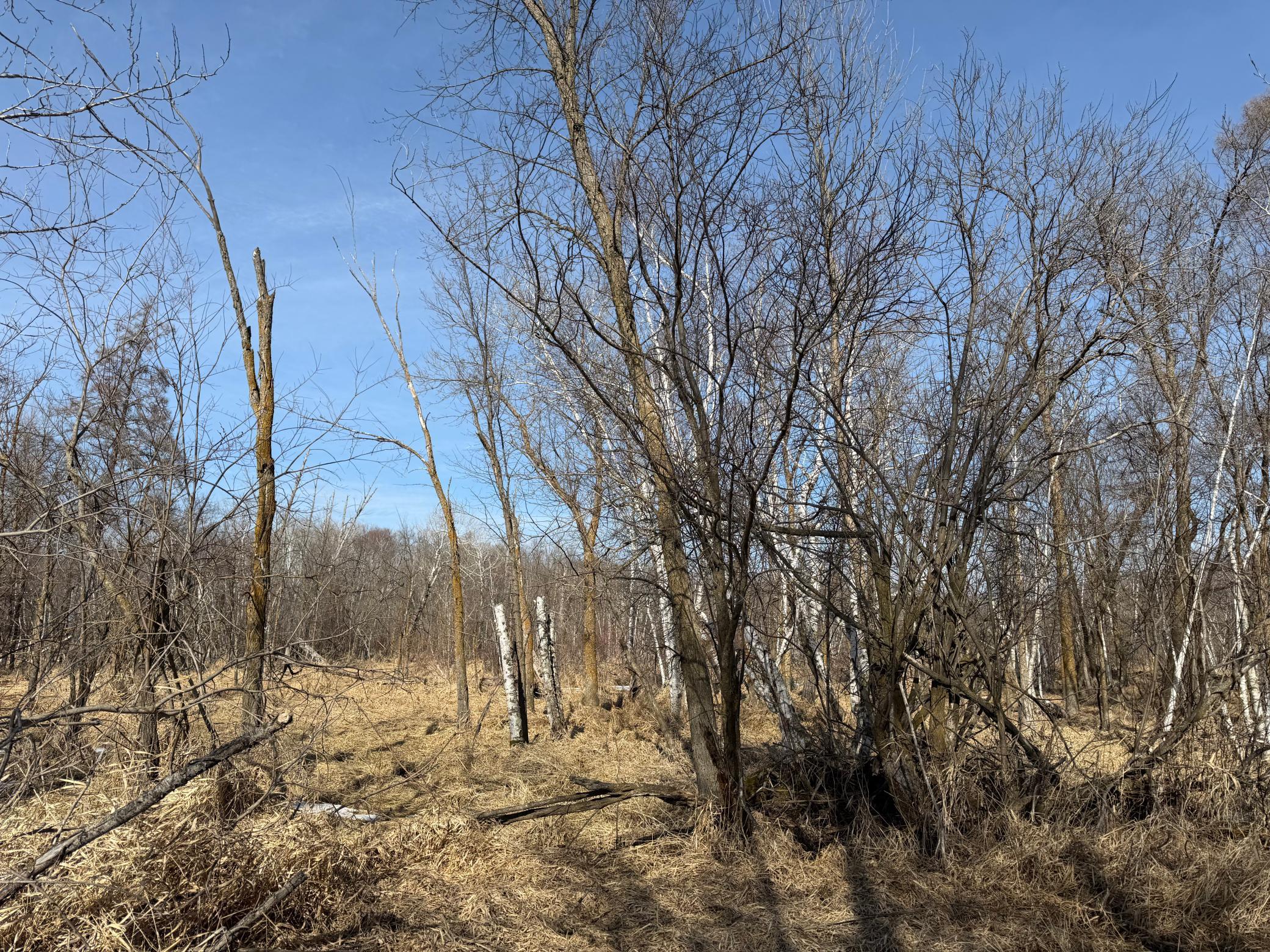 Tbd 270th Street Wadena, MN 56482 - Photo 28 of 81