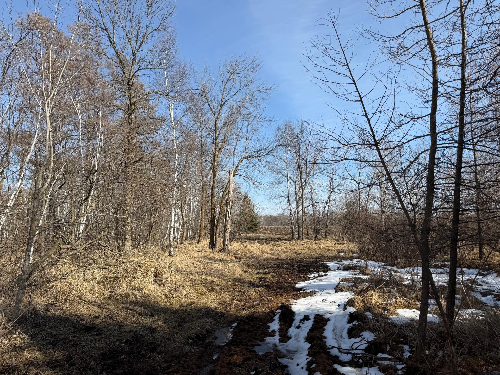 Tbd 270th Street Wadena, MN 56482 - Photo 29 of 81