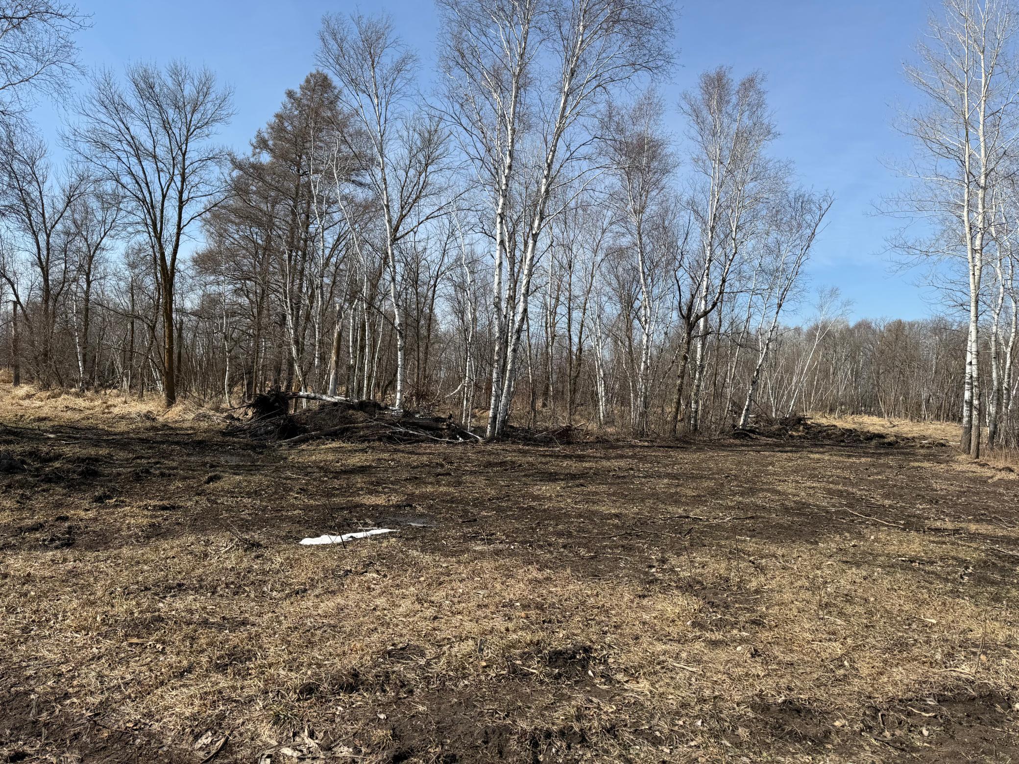 Tbd 270th Street Wadena, MN 56482 - Photo 31 of 81