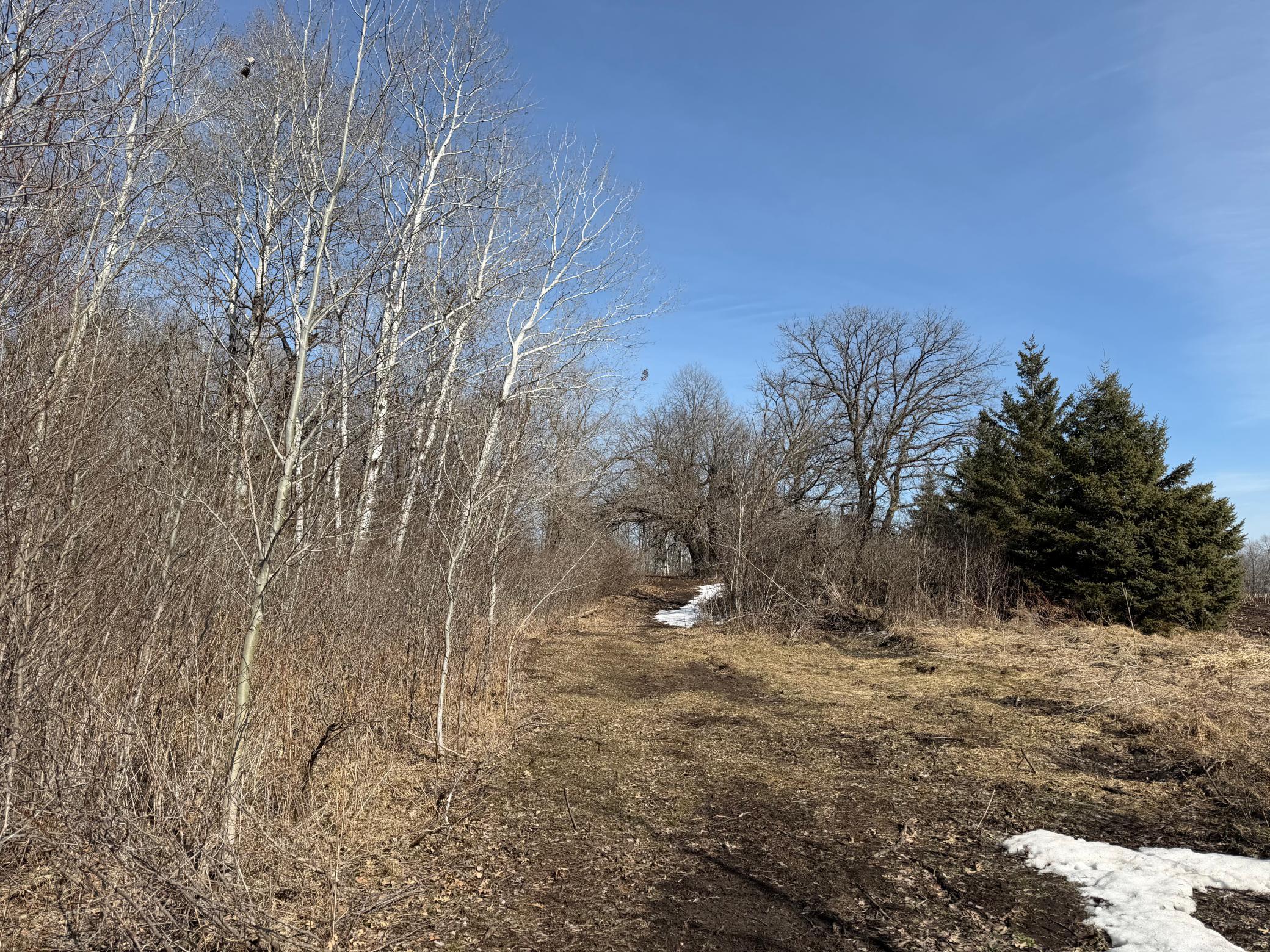 Tbd 270th Street Wadena, MN 56482 - Photo 32 of 81