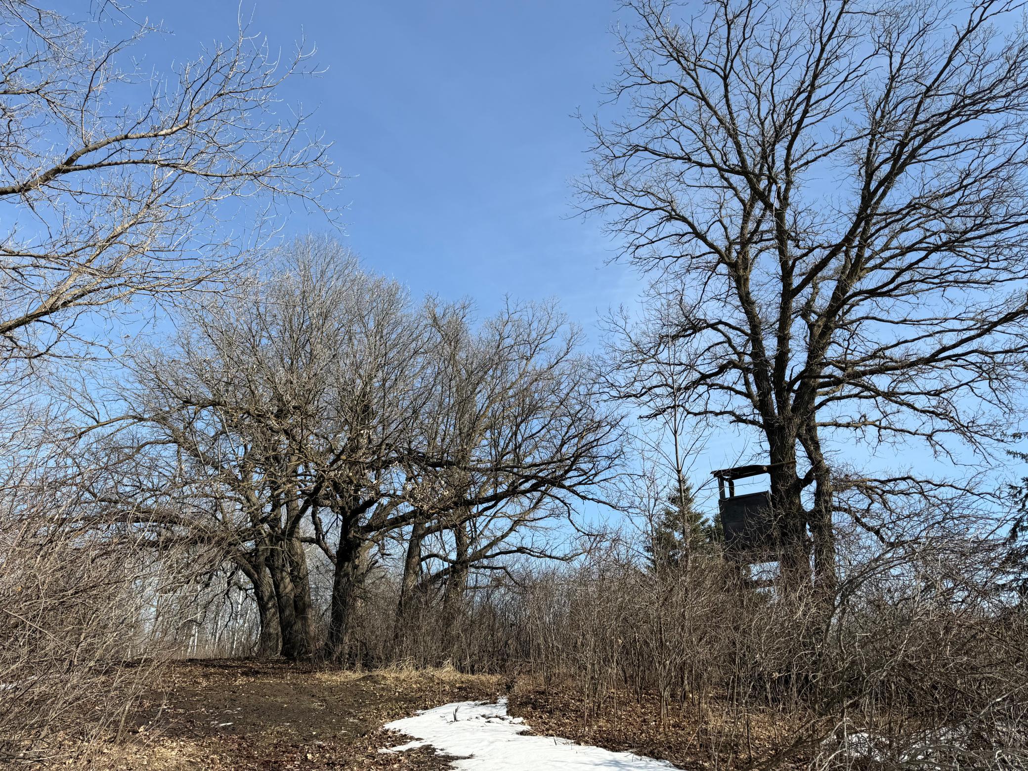 Tbd 270th Street Wadena, MN 56482 - Photo 34 of 81