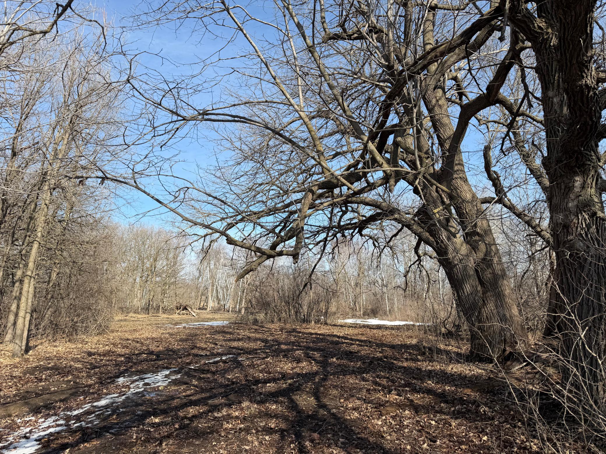 Tbd 270th Street Wadena, MN 56482 - Photo 35 of 81
